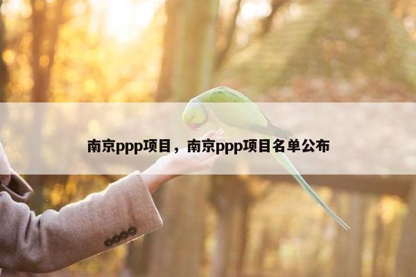 南京ppp项目，南京ppp项目名单公布