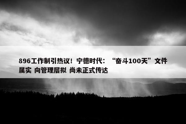 896工作制引热议！宁德时代：“奋斗100天”文件属实 向管理层拟 尚未正式传达