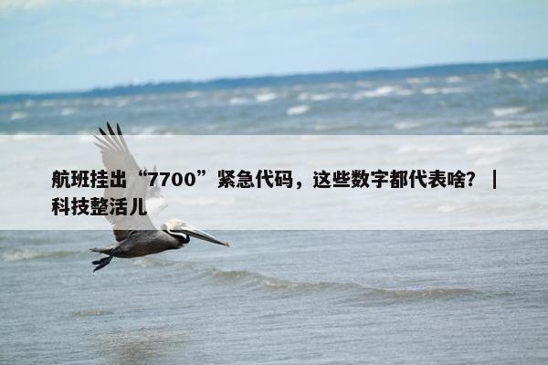 航班挂出“7700”紧急代码，这些数字都代表啥？｜科技整活儿