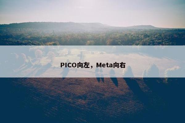 PICO向左，Meta向右